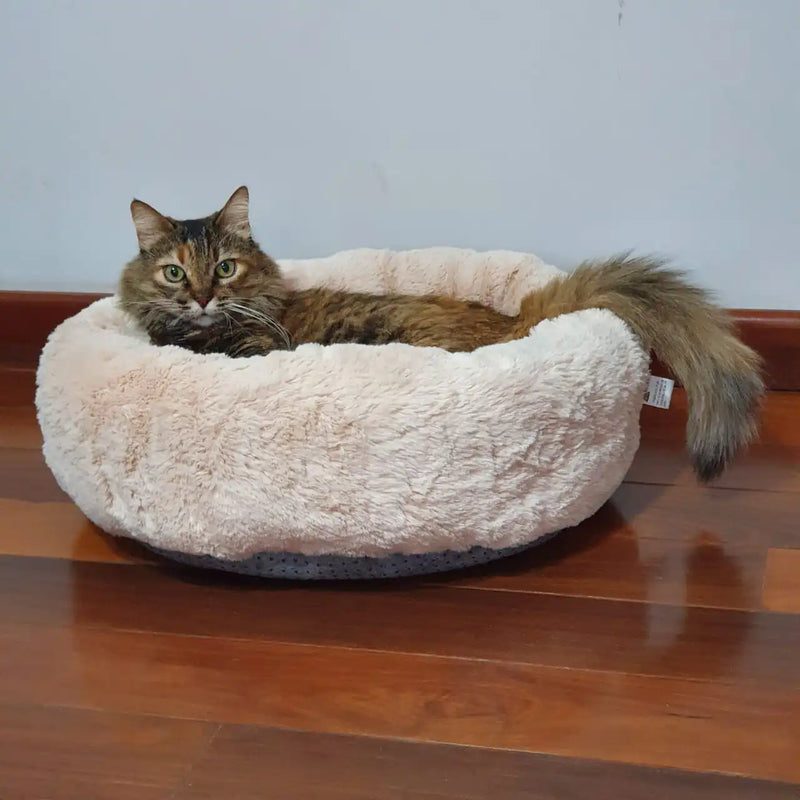 Cama Pet De Pelúcia para Cachorro E Gato, Caminha Pet Redonda Macia Fofa